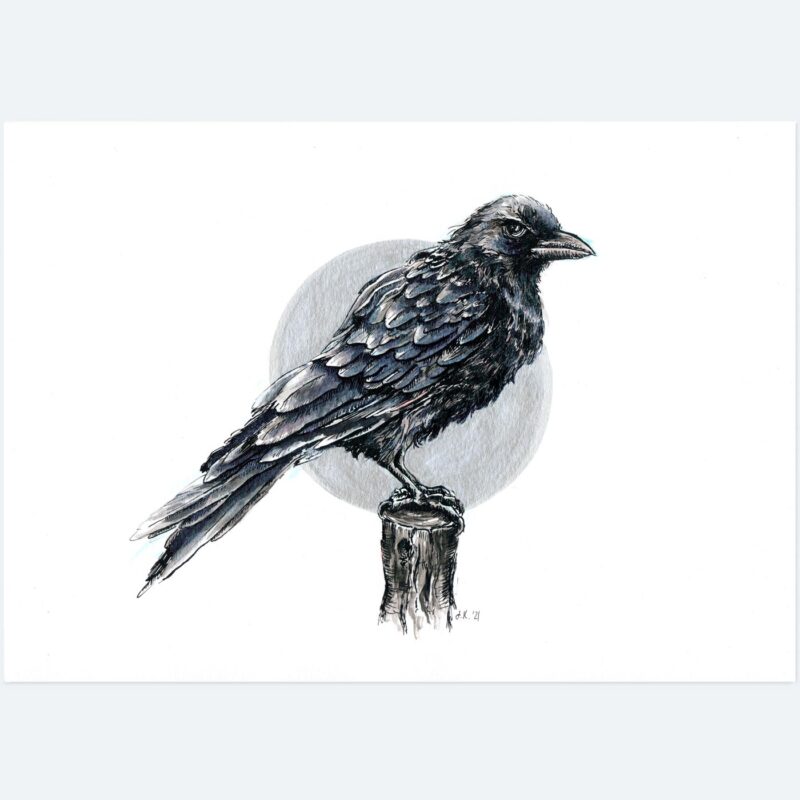 Beady Eye | Original | 21x29.7cm