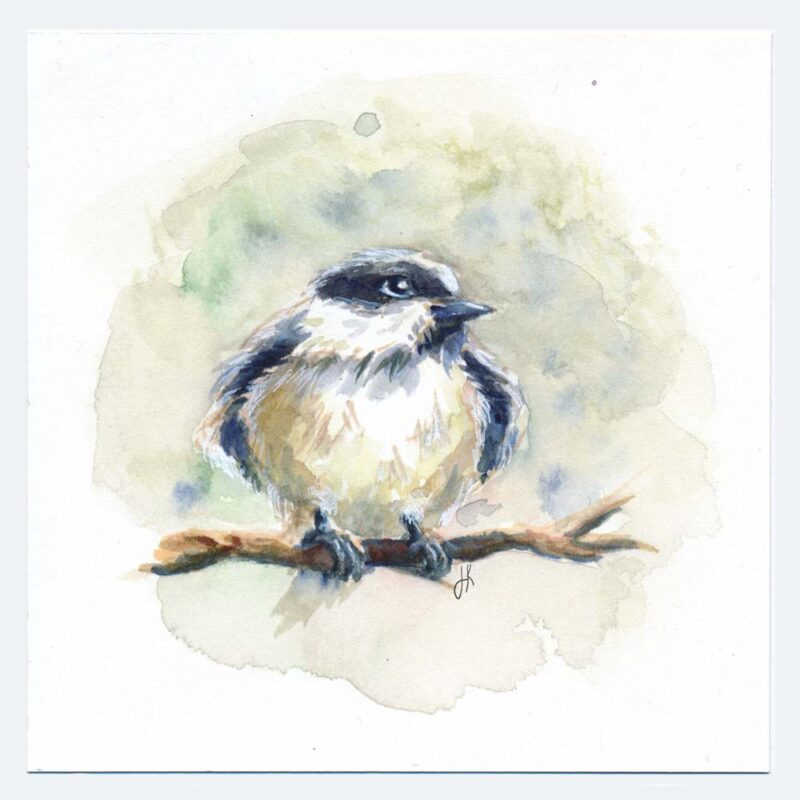 Lil' Ol' Birb | Original | 12x12cm