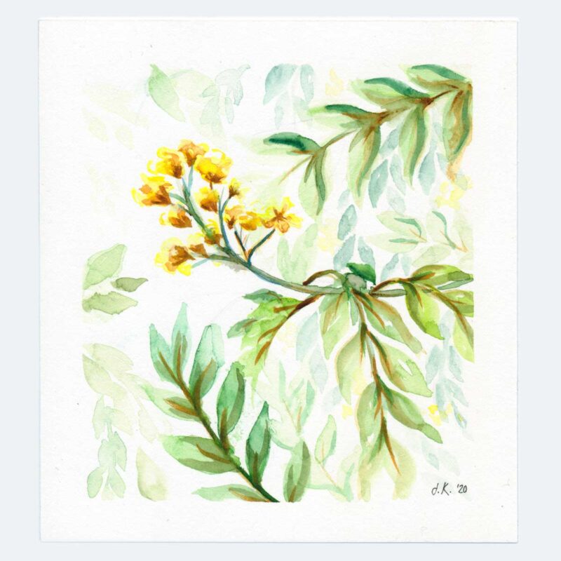 Little Yellow Flowers | Original | 14.9x13.5cm