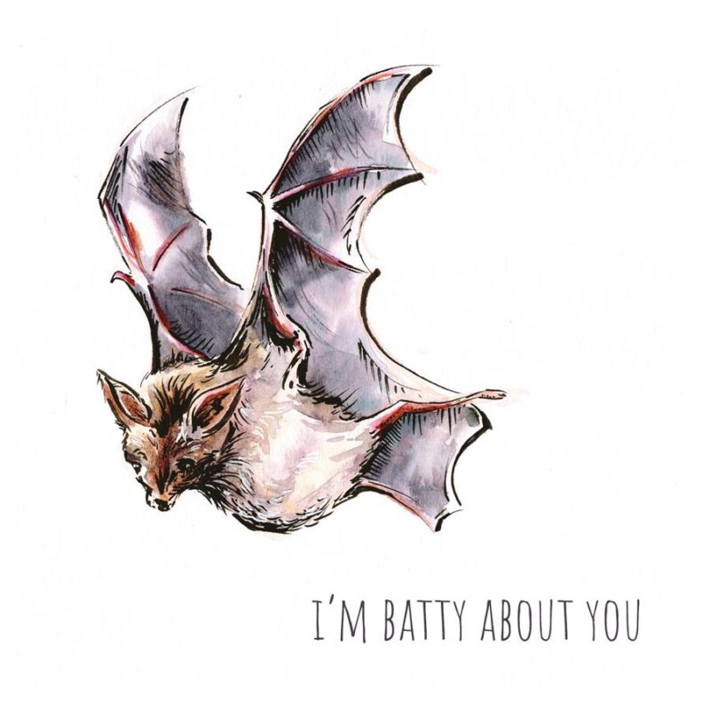 I'm Batty About You | Card - Image 2