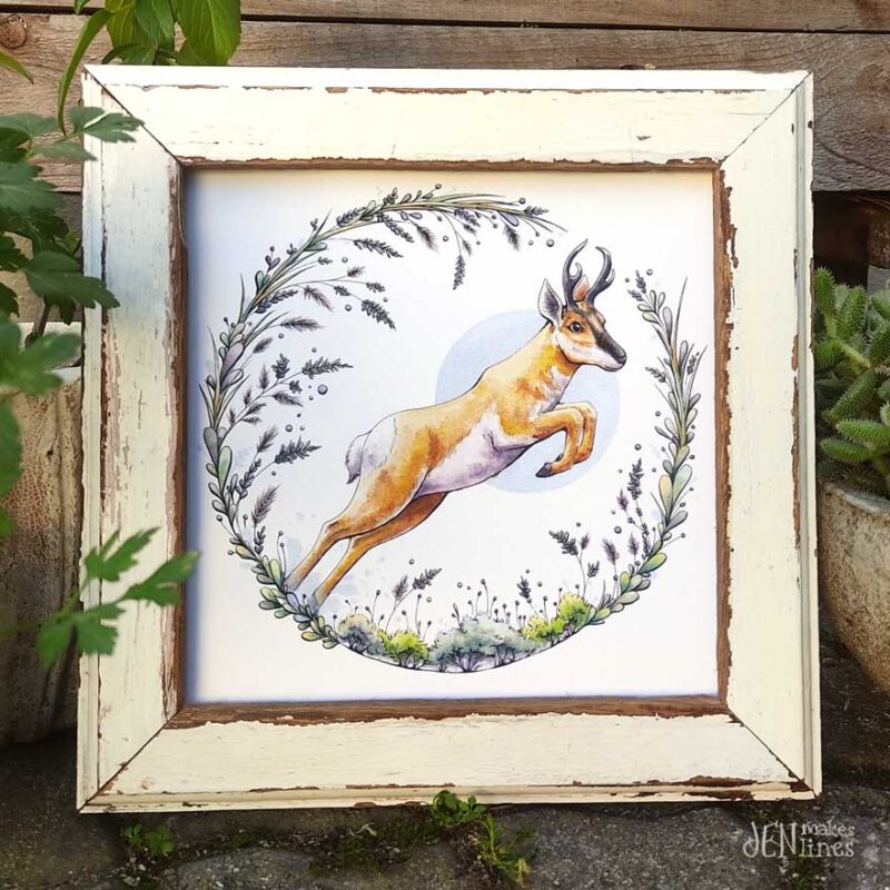 Pronghorn, the American Goat-Antelope | Print