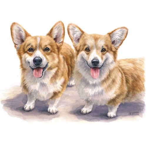 Corgi-Watercolor-Pet-Portrait
