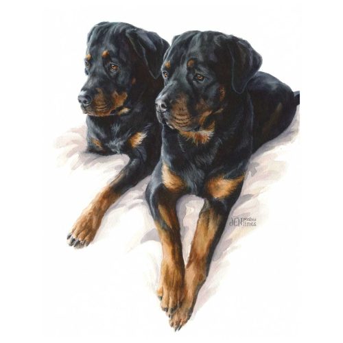 Dexter-and-Katy-Rottweiler-Watercolor-Pet-Portrait