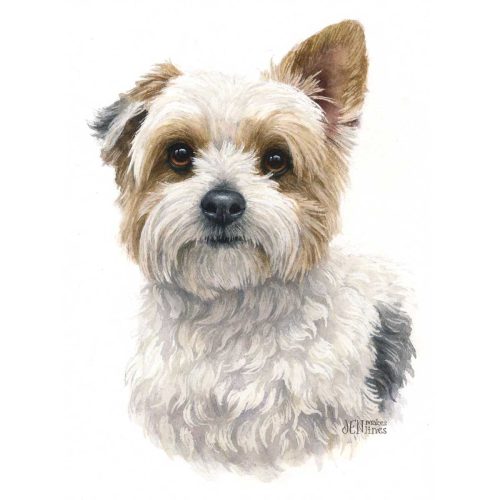 Dog-Watercolor-Pet-Portrait-Terrier