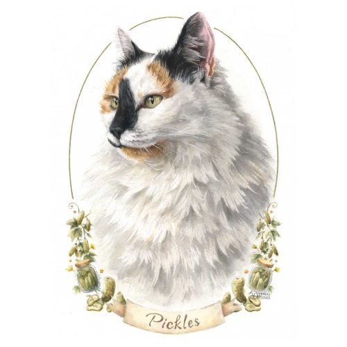 Pickles-Cat-Pet-Portrait-Watercolor